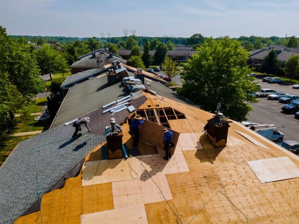 Best Flat Roof Repair Services  in Portland, MI