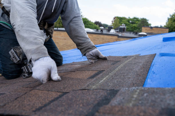 Quick and Trustworthy Emergency Roof Repair Services in Portland, MI