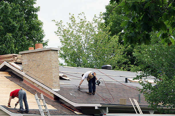 Best New Roof Installation  in Portland, MI
