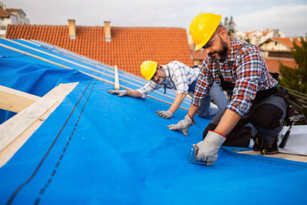 Best Roof Gutter Cleaning  in Portland, MI