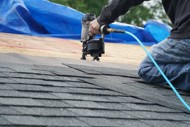 Best Metal Roofing Contractor  in Portland, MI