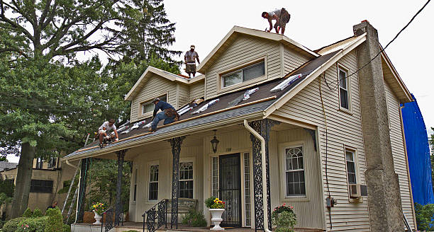 Best Roof Repair Services  in Portland, MI