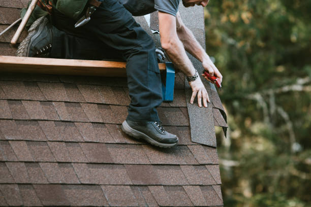 Best Roof Leak Repair  in Portland, MI
